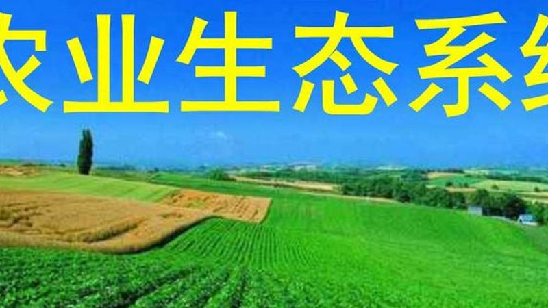 农资店加盟：小投资背后的行业洞察**