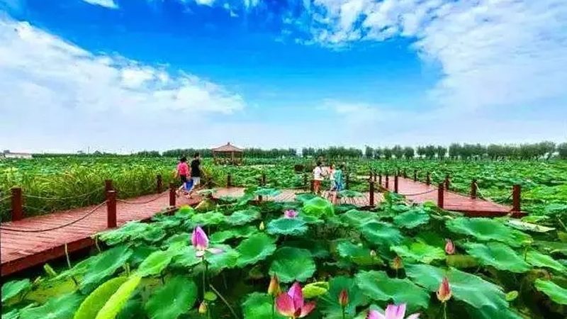 以下为不同类型合作社代理记账的大致价格范围，供参考：