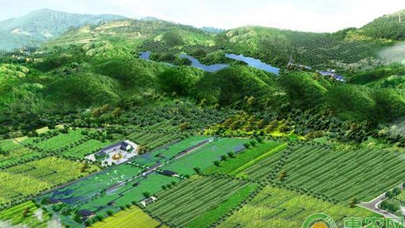 家庭农场与合作社：农村农业发展的两种模式