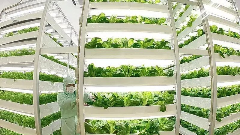 小型生态农场投资预算：关键要素与合理规划**
