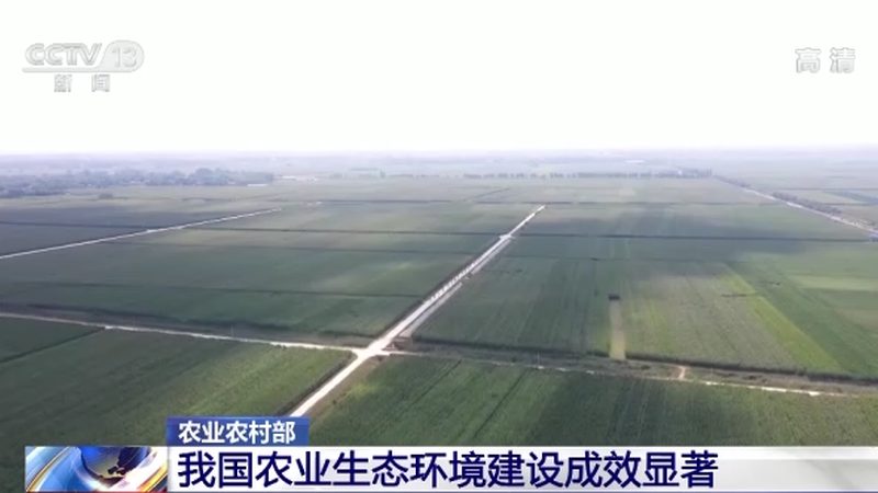 大棚蔬菜种植，如何实现高效管理与技术提升？**