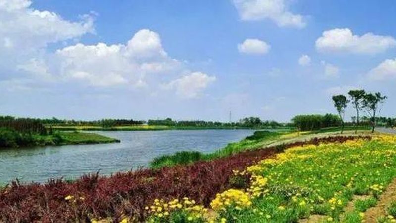 农民专业合作社注销流程全解析