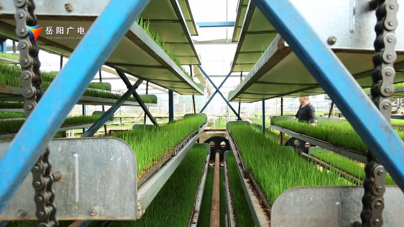 现代农业示范区建设标准验收细则全解析