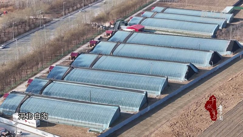 农资、农药、化肥：三者的本质区别与正确使用**