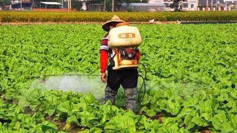 绿色食品认证：守护舌尖上的安全，如何选择可靠认证公司